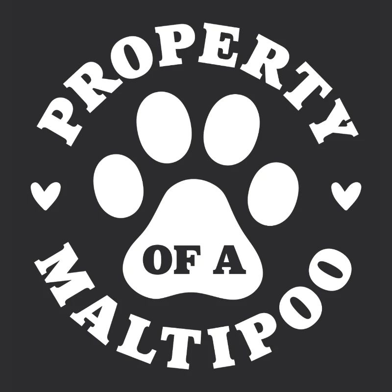 Eigentum eines Maltipoo