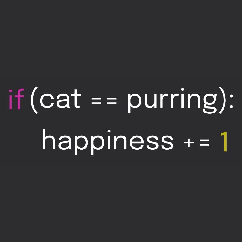 Conception de chat et de codage