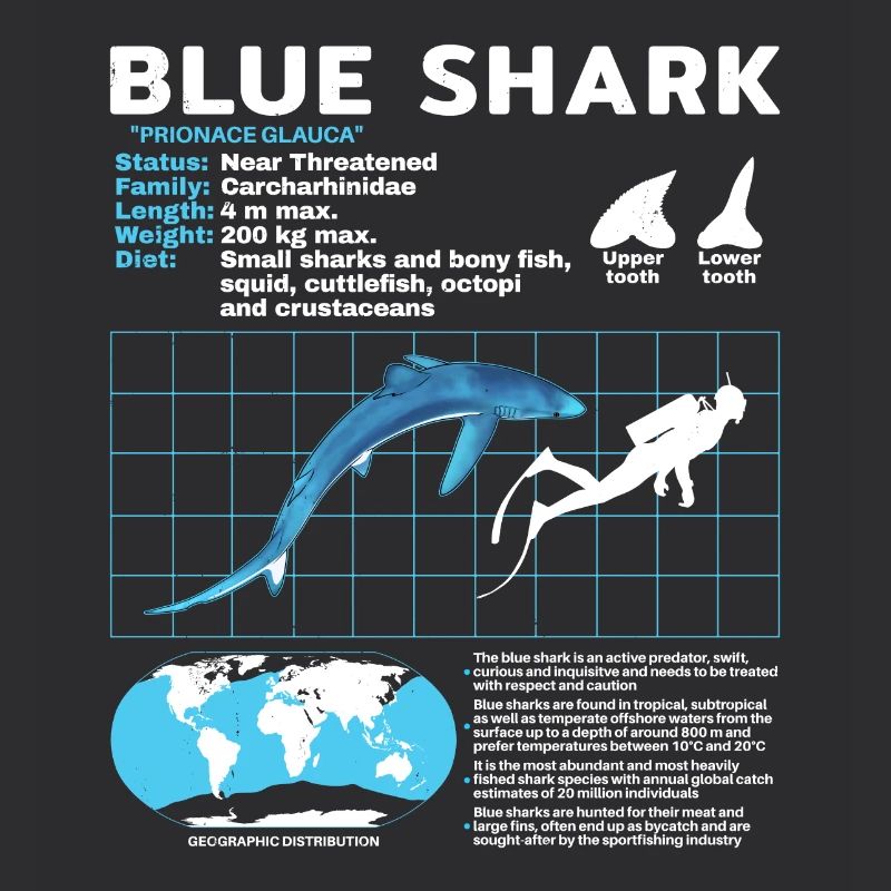 Blue Shark Datasheet Fact Sheet