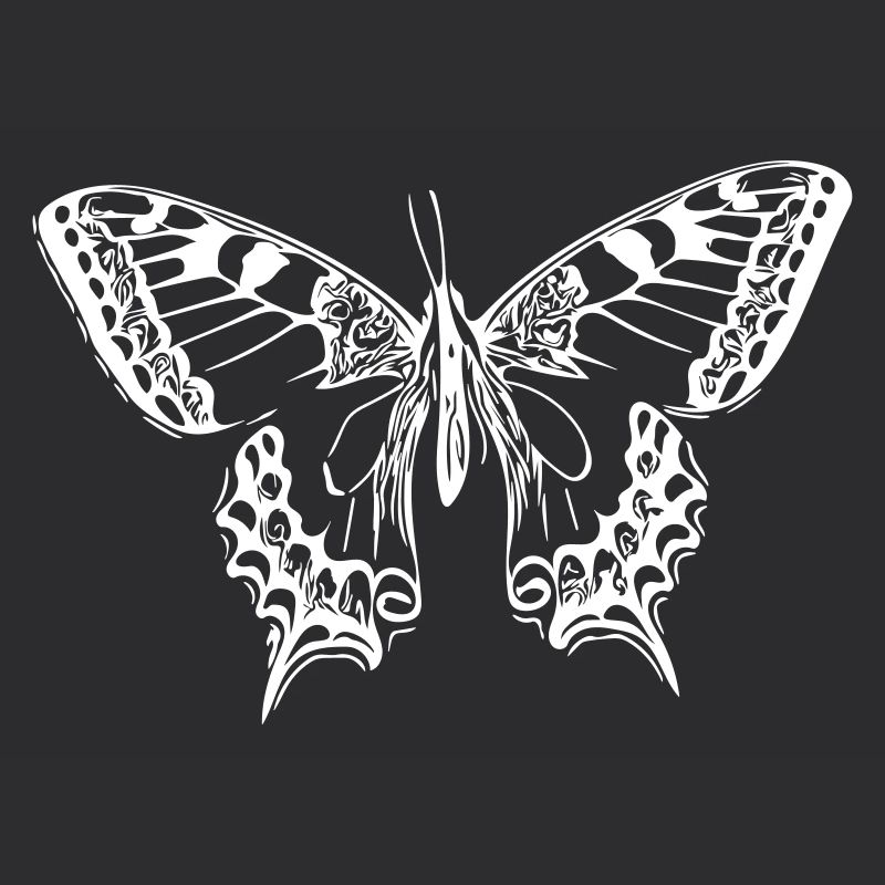 Eleganter Schmetterling