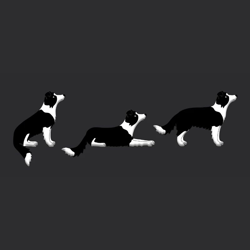 Sitz Platz Steh Border Collie