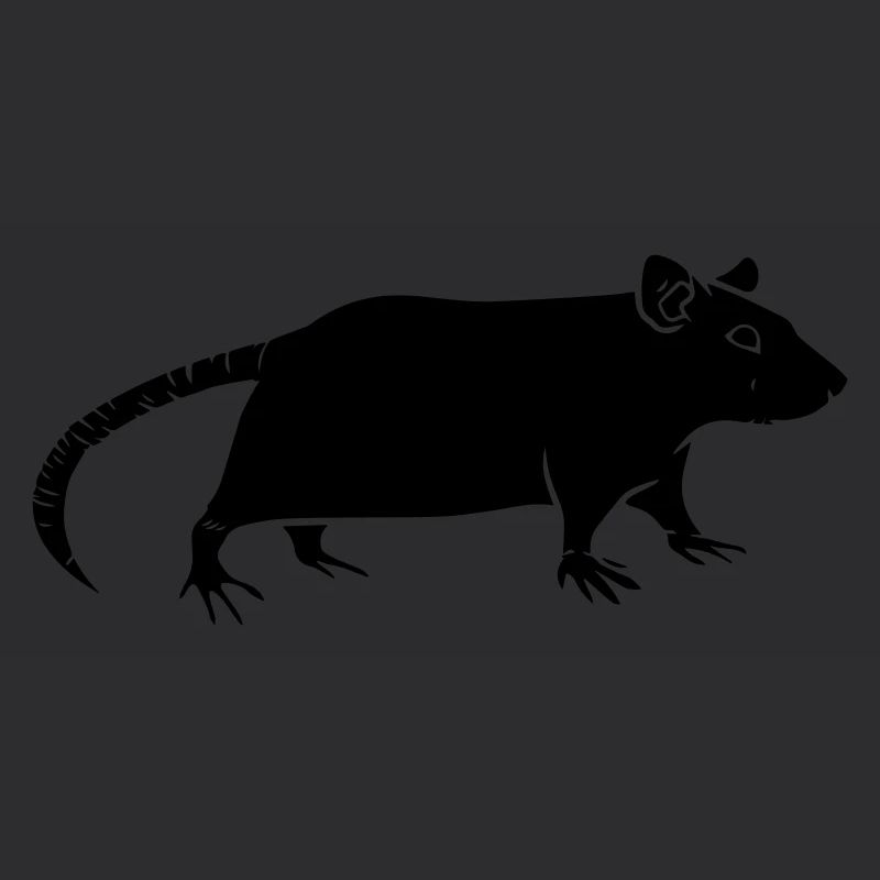 rat