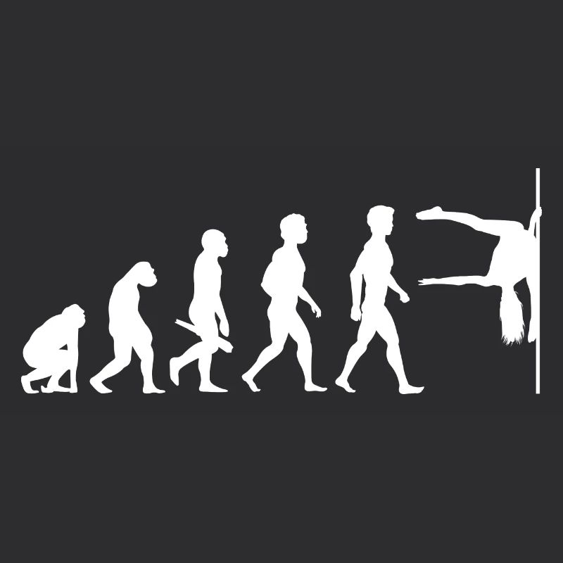 Evolution Poledance Pole Dancing Stange Tanzen