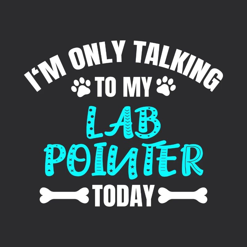 Lab Pointer