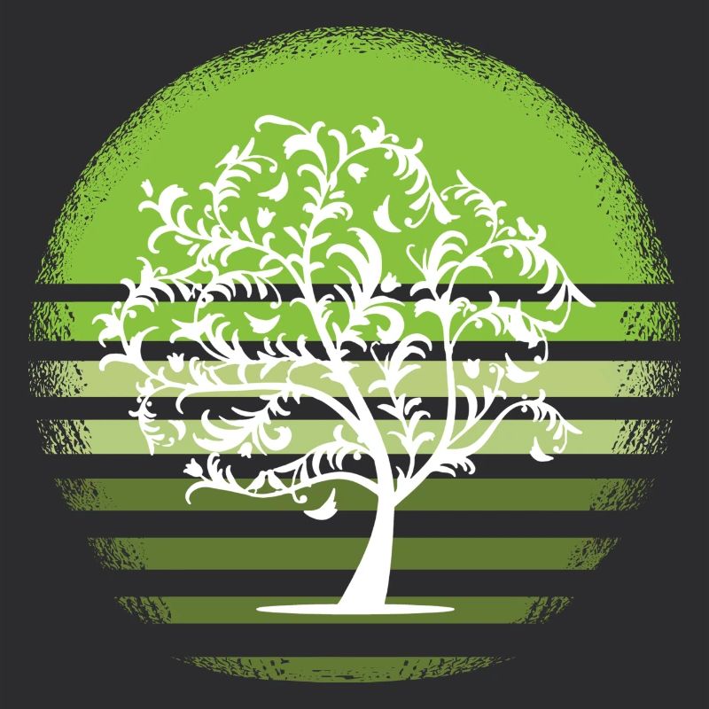 Nature White Tree Retro Deciduous Tree Sunset D