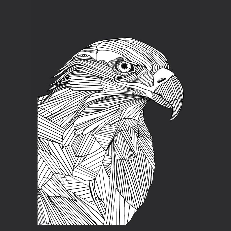 Lignes art aigle #eagle