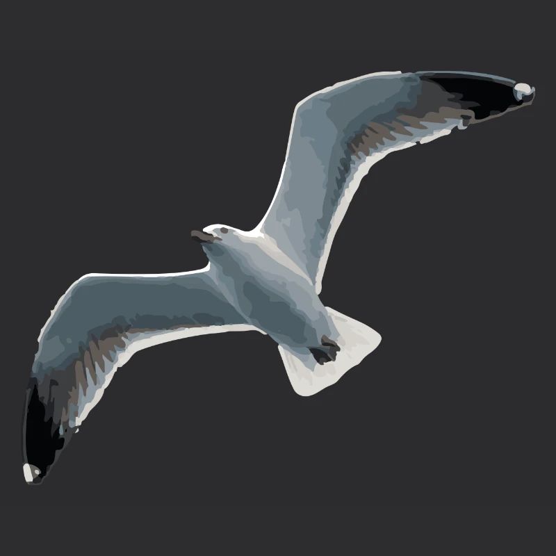 Möwe