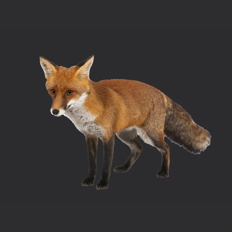 Fuchs