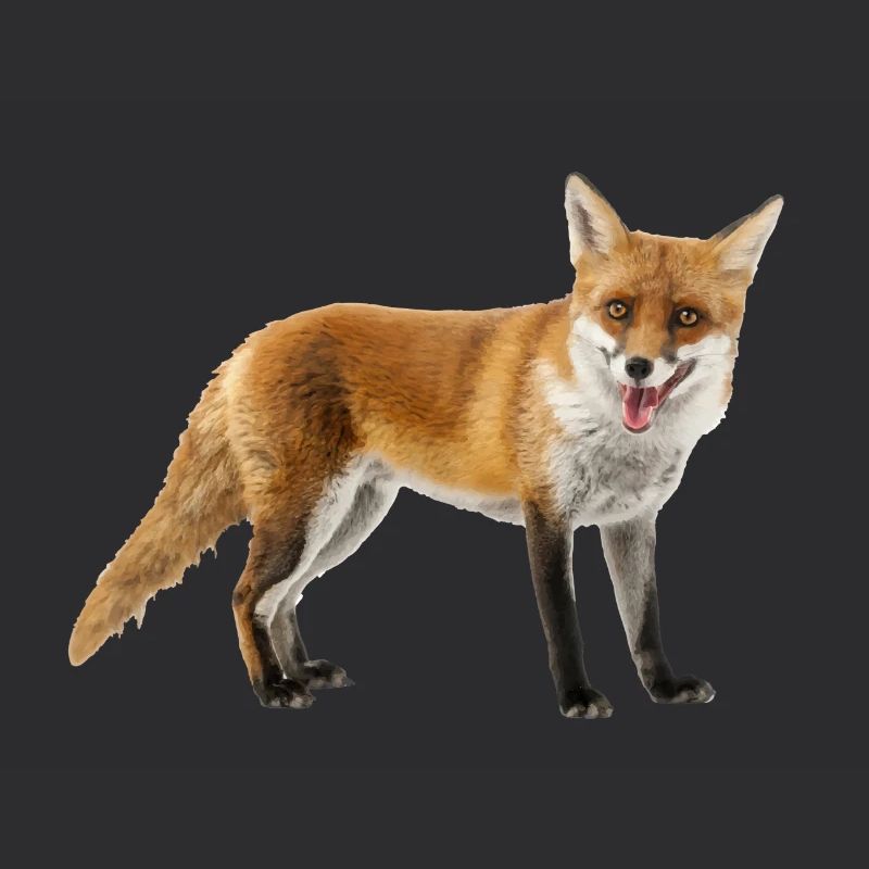 Fuchs