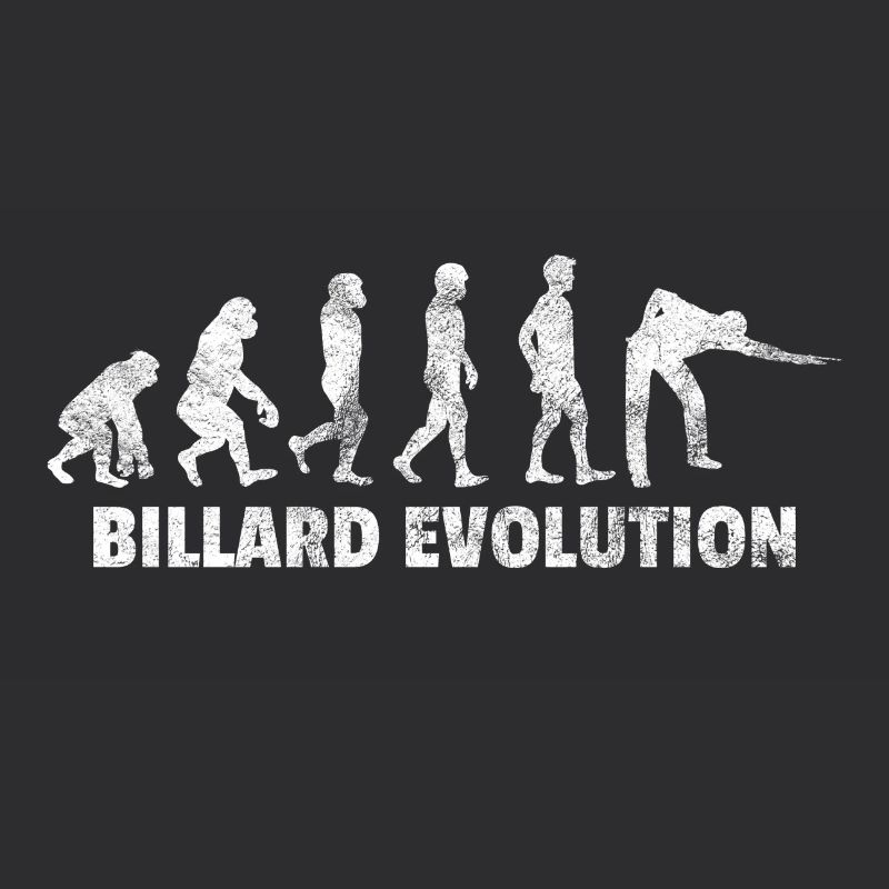 Evolution billard billard cadeau joueur piscine