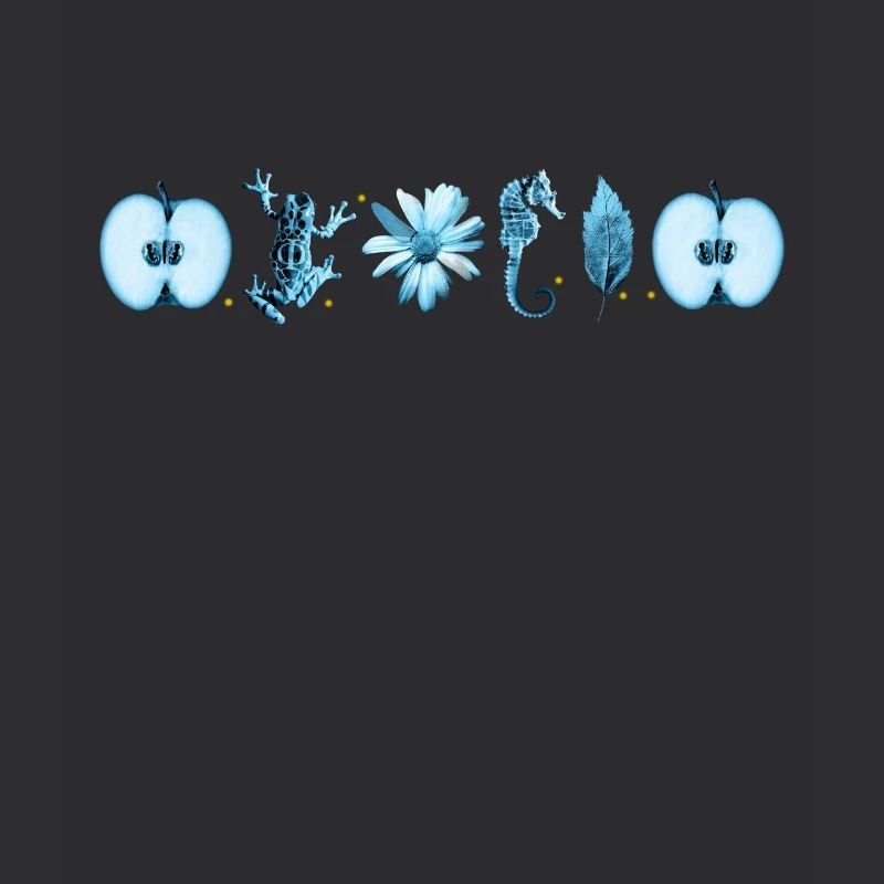 Fringe Division