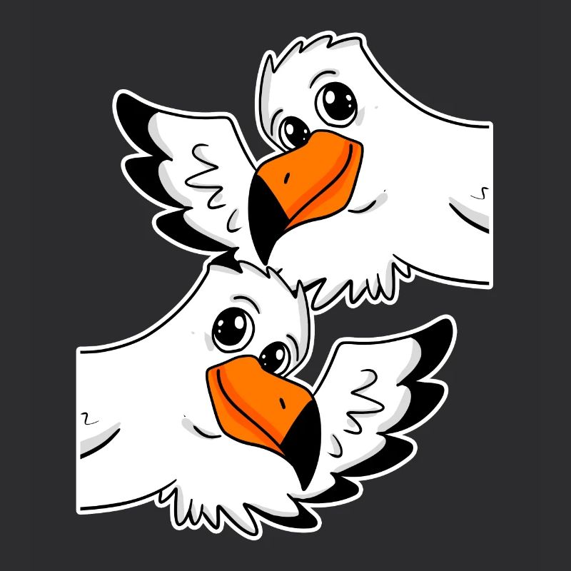 Möwe Möwen