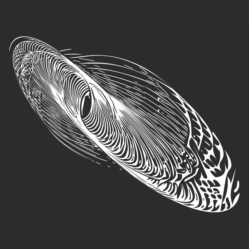 Ellipse abstraite de forme d’oscillation