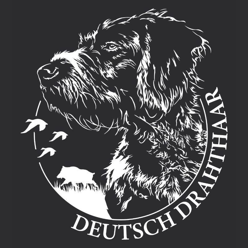 DEUTSCH DRAHTHAAR Wilsigns Jagdhund Jagdhunde