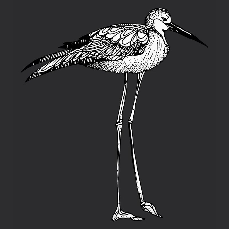 oiseau