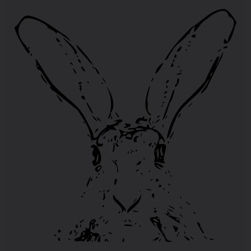 Hase