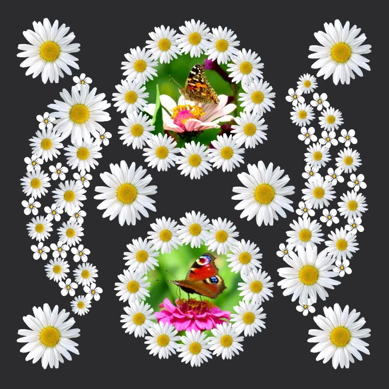 Daisies Blossom Butterfly Floral Pattern Floral