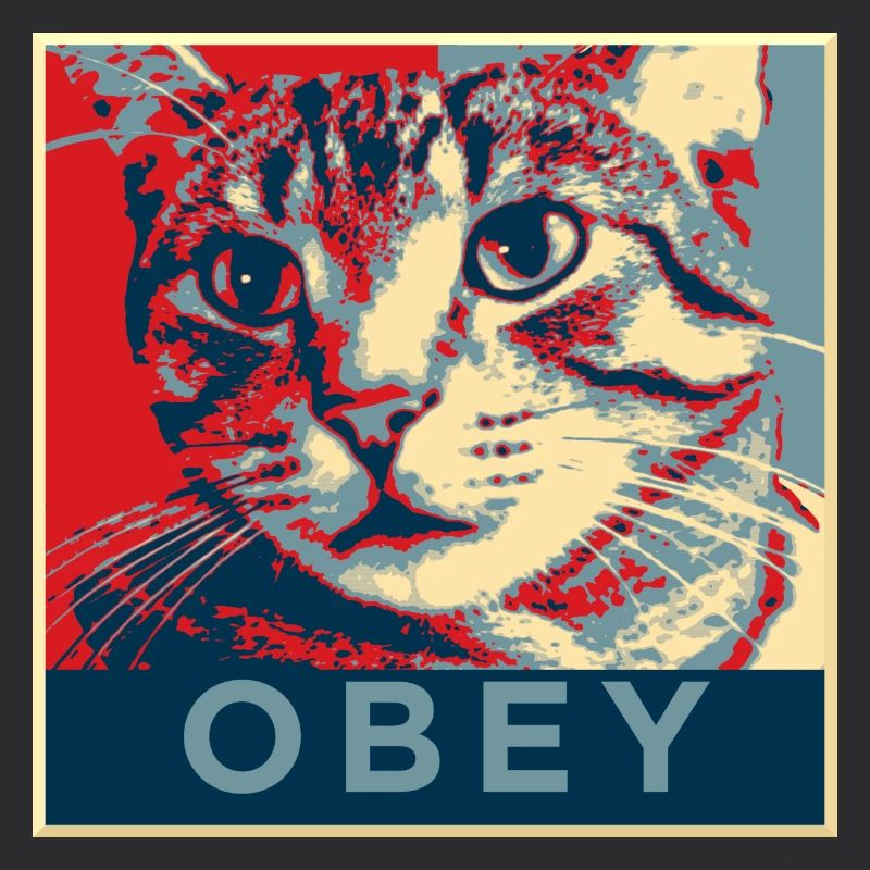 Obey the Cat!