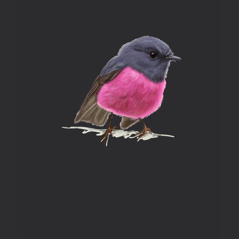 cool oiseau Pink Robin idée cadeau