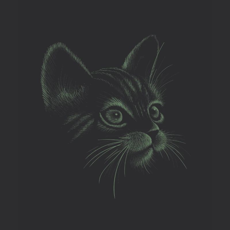 Cat hand-drawn