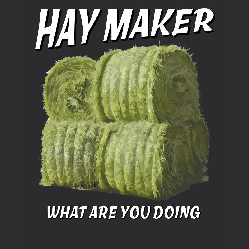 FABRICANT HAY
