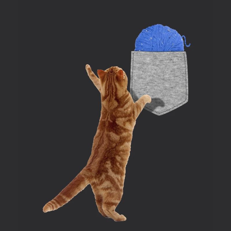 Cat Reaching For Wool Ball In Your Fake Pocket Fun