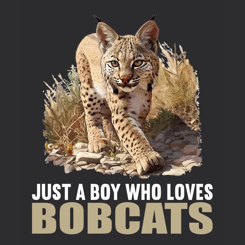 Bobcats Rotluchse Rotluchs Luchs