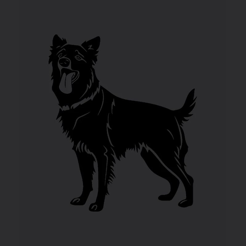 Australian Shepherd Hund