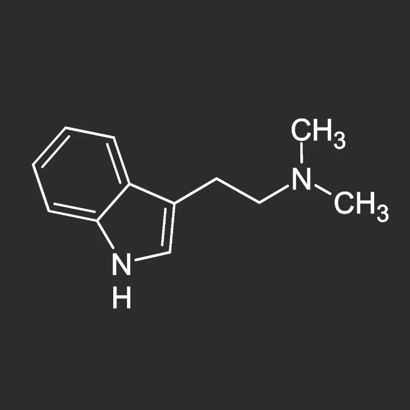 DMT