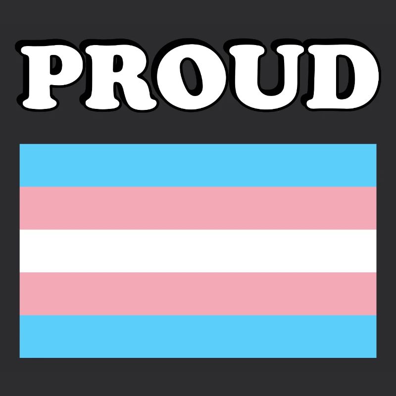 Trans Pride Transpride Flagge