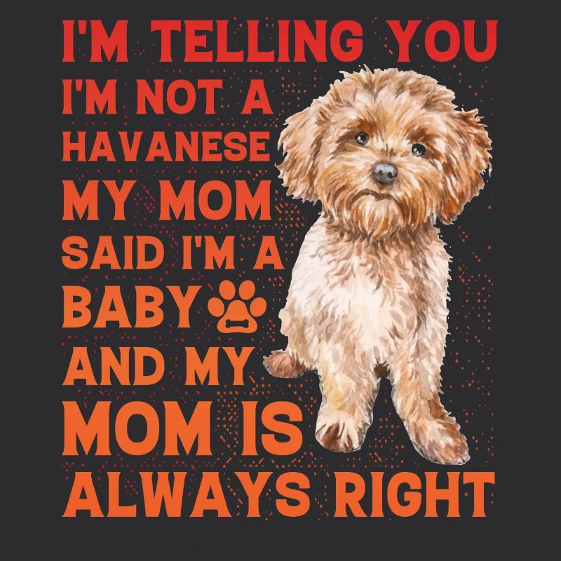 Havanese Funny Saying