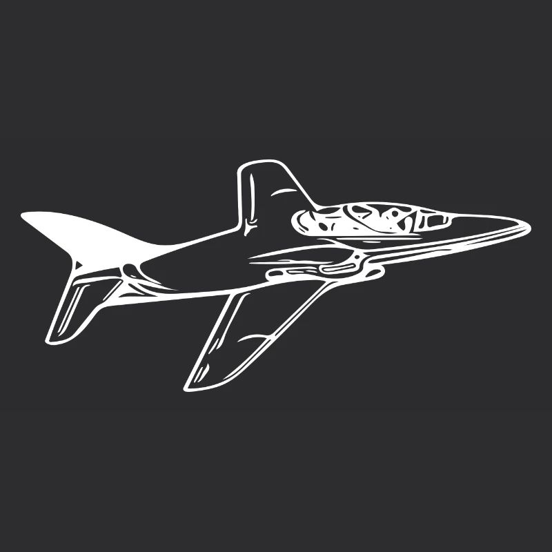 Jet Flugzeug Flieger