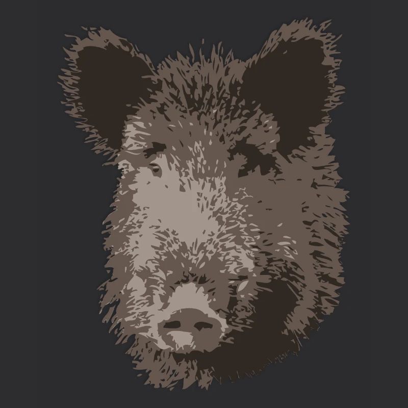 Wild Boar - Wildschwein - Keiler