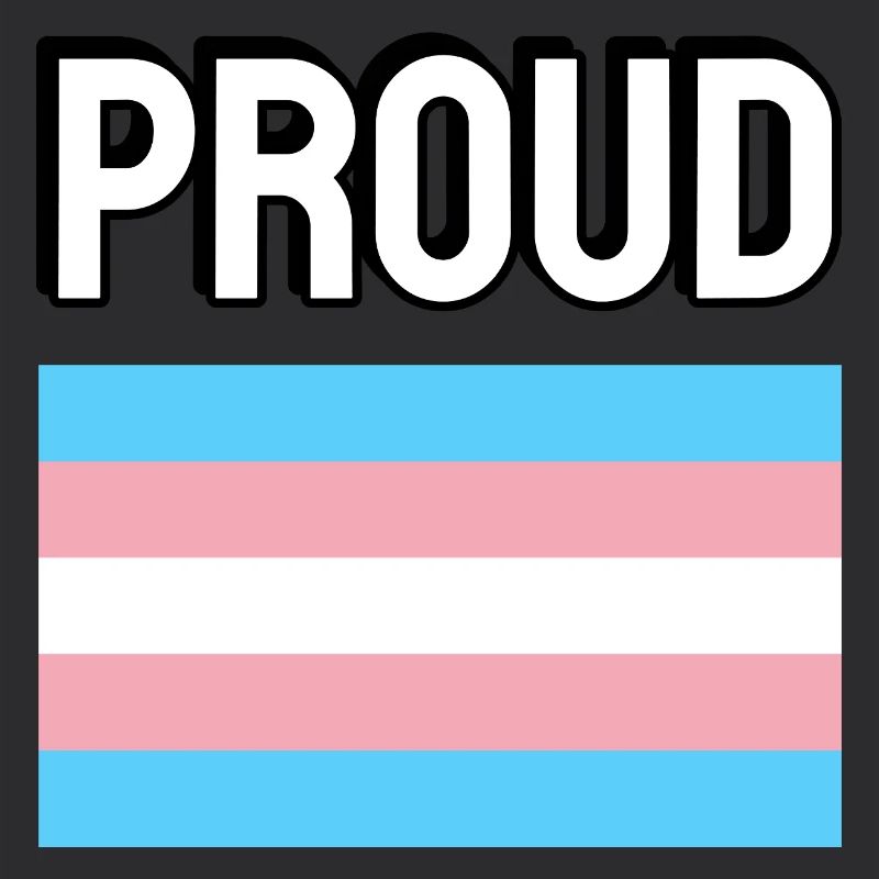 Trans Pride transfierté Drapeau Fier