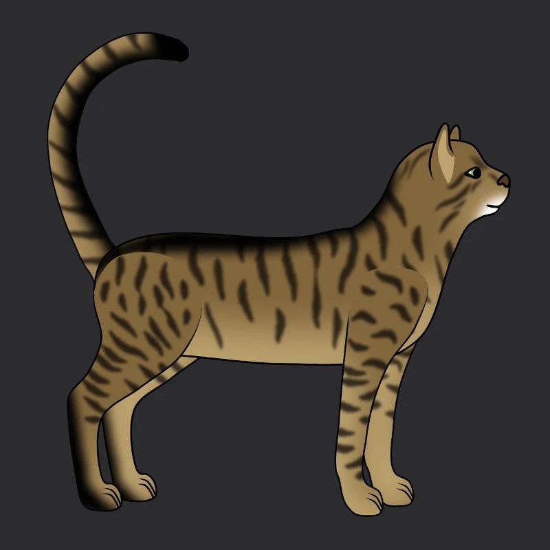 Chat rayé est
