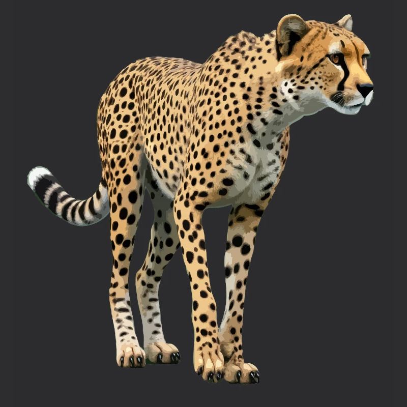 Guépard réel