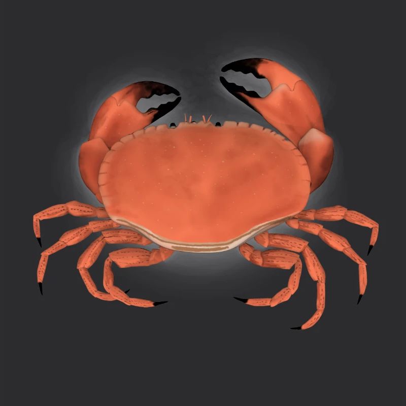 krabbe