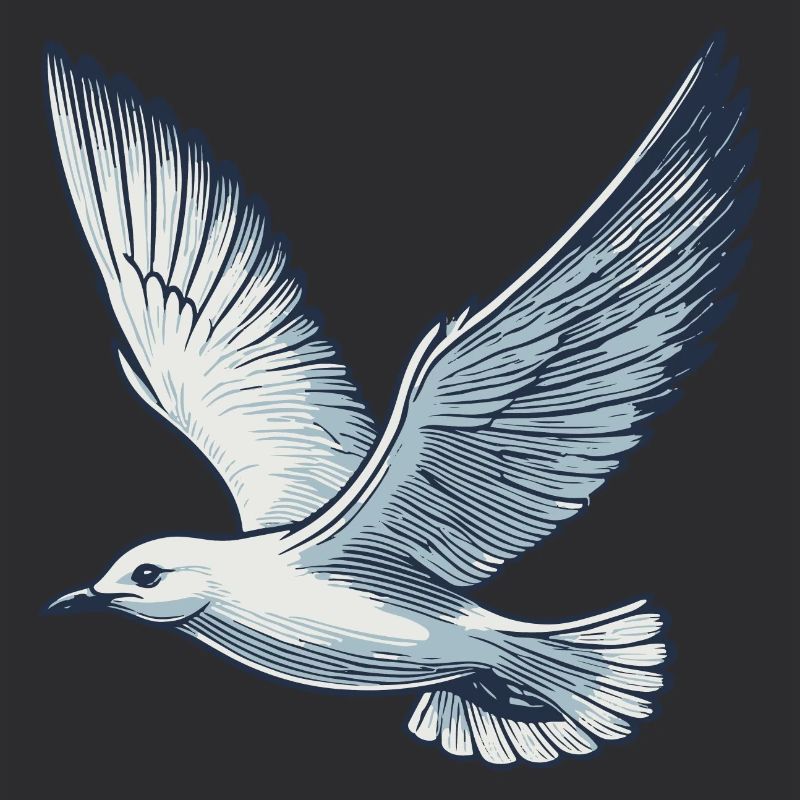 Möwe