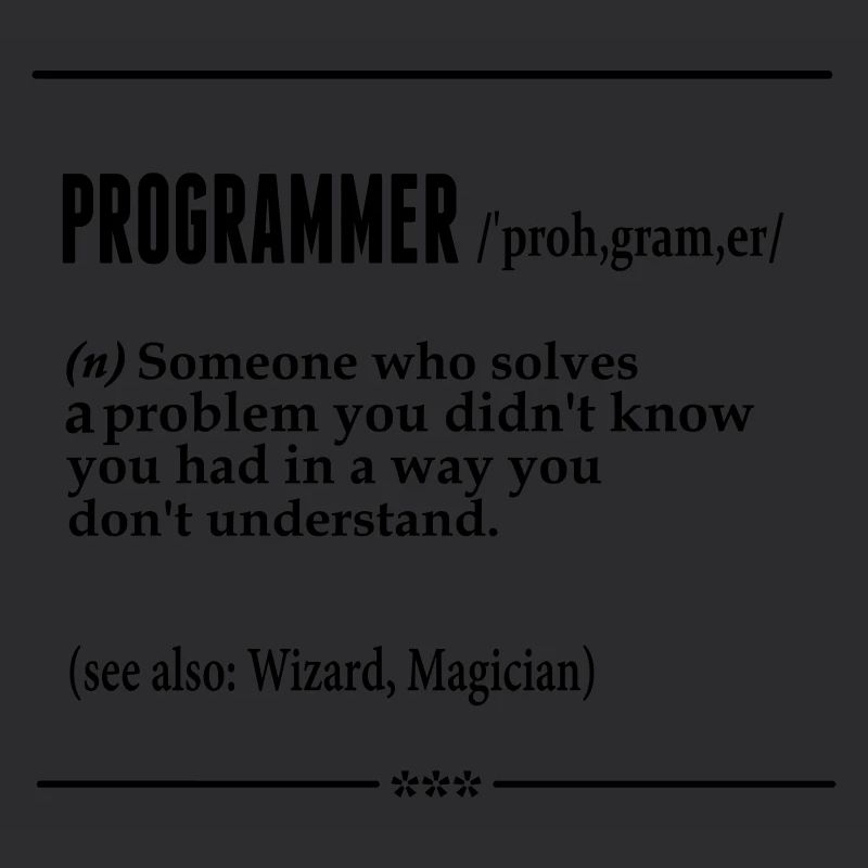 Programmer Noun