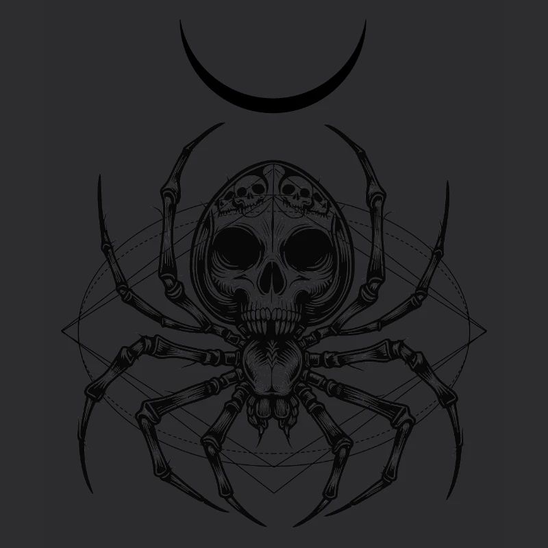 Deadly Bugs | Spider