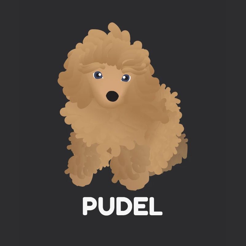 Chiot Caniche