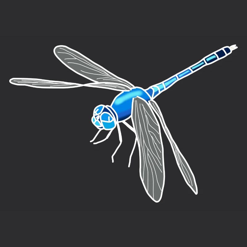 Libellule