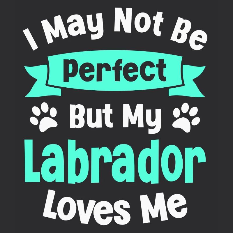 Hund Labrador Retriever