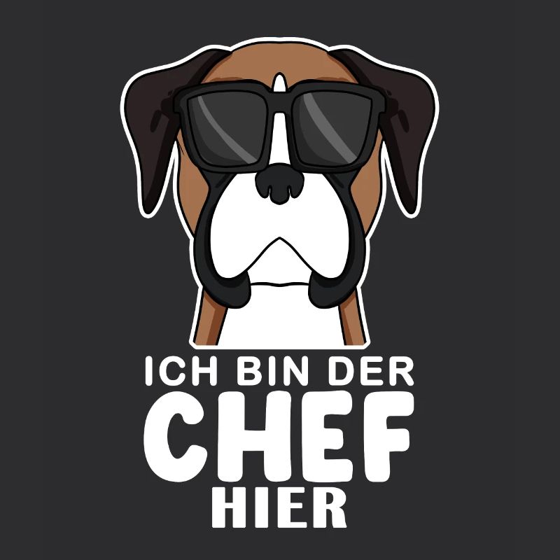 Hund Deutscher Boxer Cool Chef