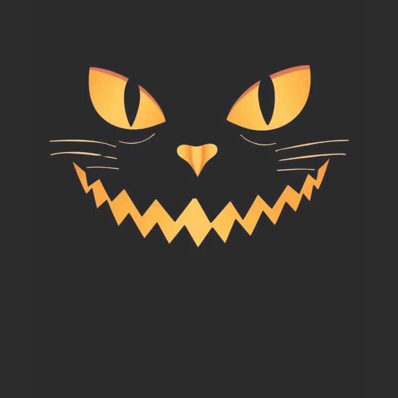 Halloween Jack O'Lantern KATZEN GESICHT for Kids