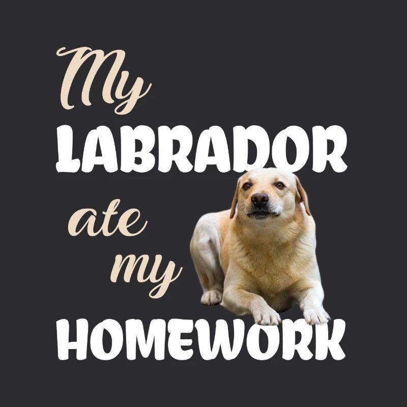 Labrador Homework