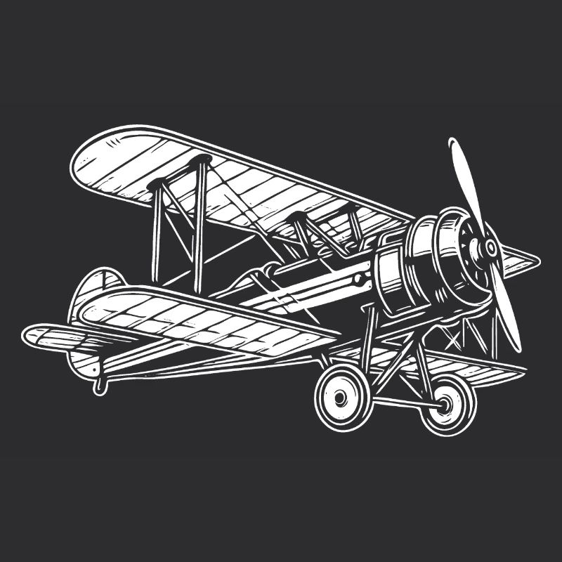 Biplane Oldtimer, conception classique d’avion