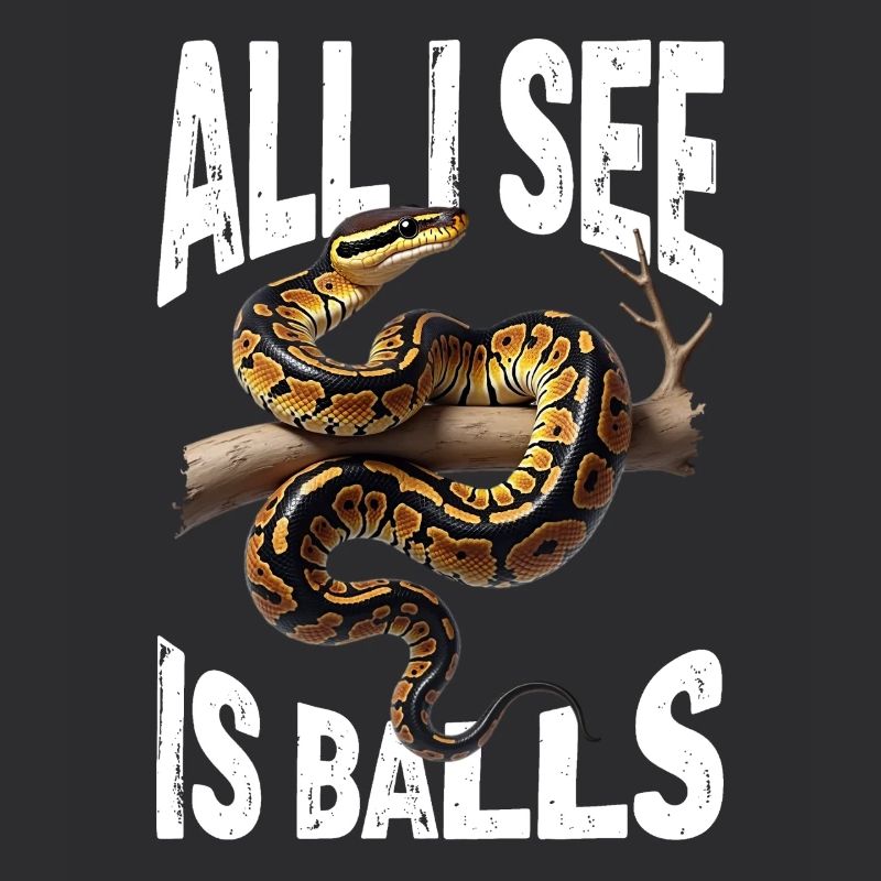 Python roi Serpents Amateurs de terrarium Python