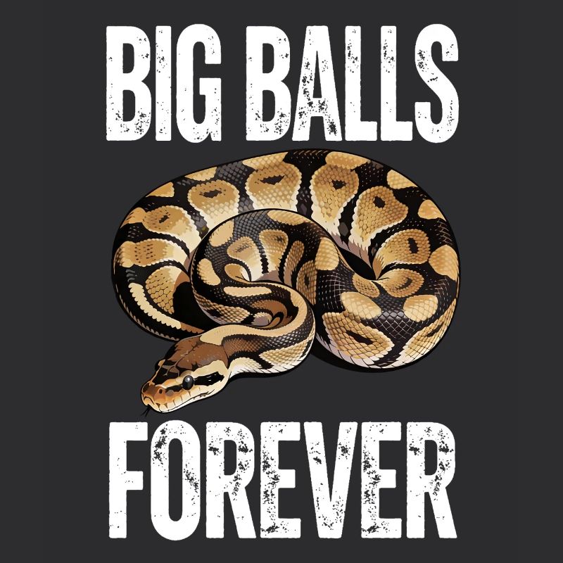 Python roi Serpents Amateurs de terrarium Python