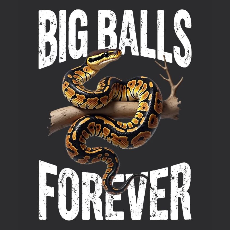 Python roi Serpents Amateurs de terrarium Python